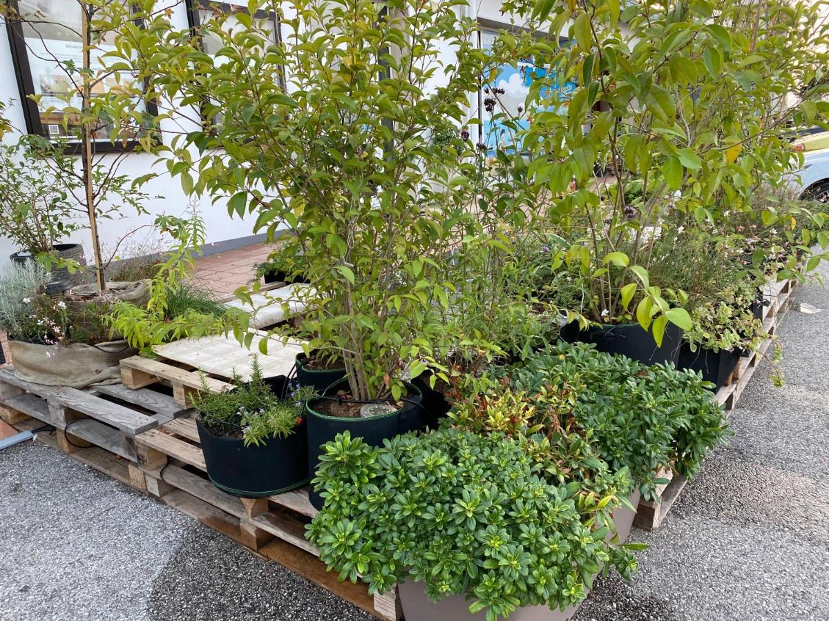 Balabuska Rooms & Garden Codevigo Exterior photo