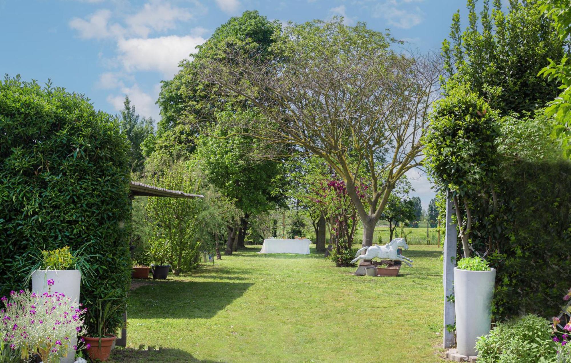 Balabuska Rooms & Garden Codevigo Exterior photo